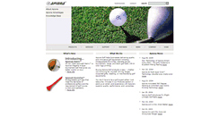 Desktop Screenshot of apiona.com